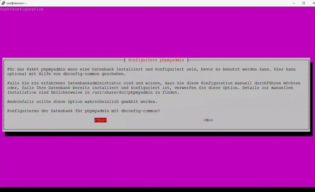 PHPMyAdmin Installation MySQL Root-Passwort eingeben