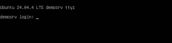 Ubuntu Server Anmeldebildschirm Login